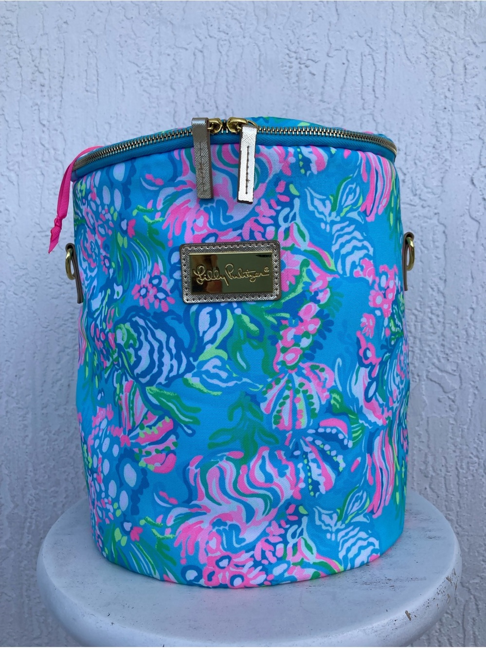 Lilly Pulitzer Insulated Beach Cooler Bag Best Fishes Blue Pink NO LONG STRAP